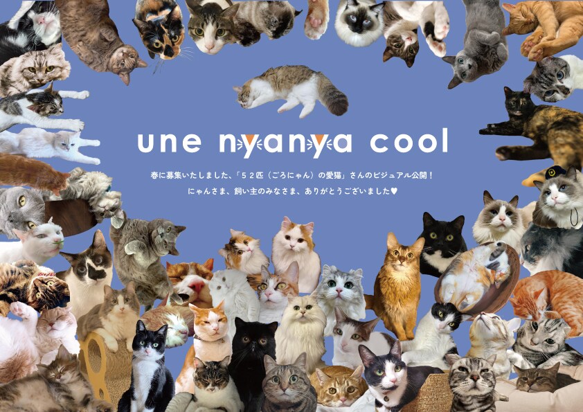20240919news_24AWunenyanyacool_6.jpg