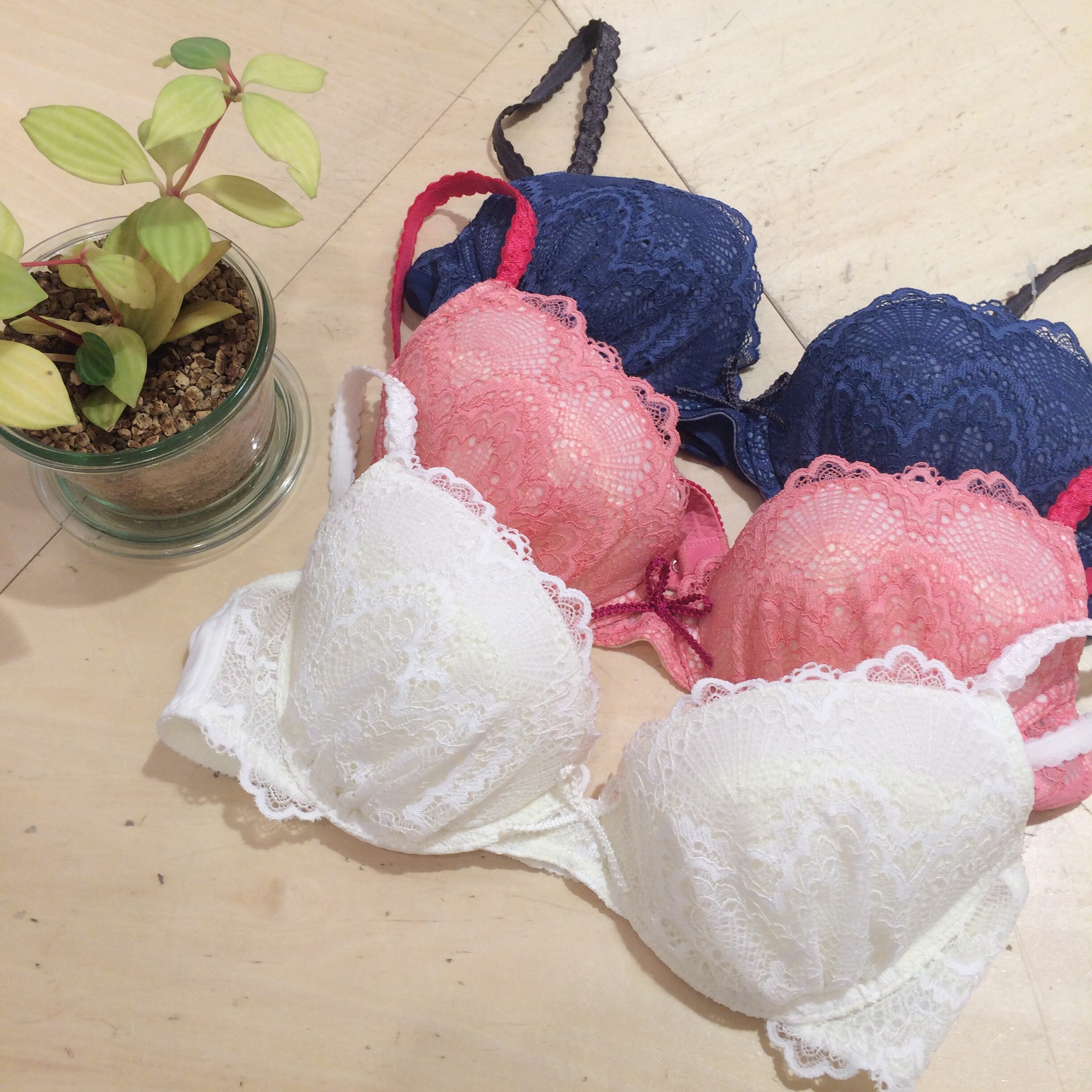 ✩︎⡱『❁Parasol lace❁』✩︎⡱｜une nana cool commune